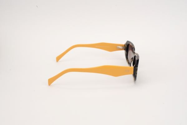 SOLAR OOK F2023 C6 - CAPIVARA - Imagem 3